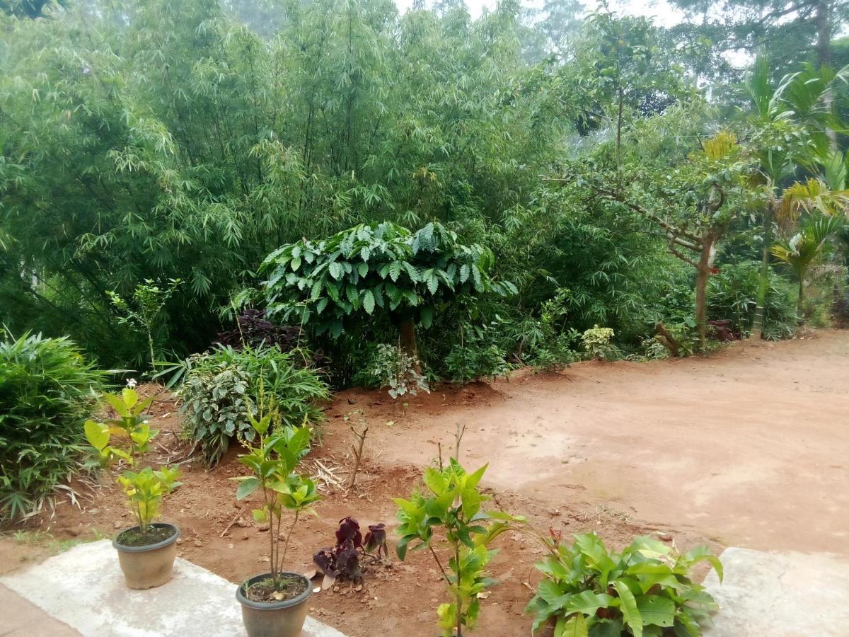 River View Cottage Vythiri Exterior photo